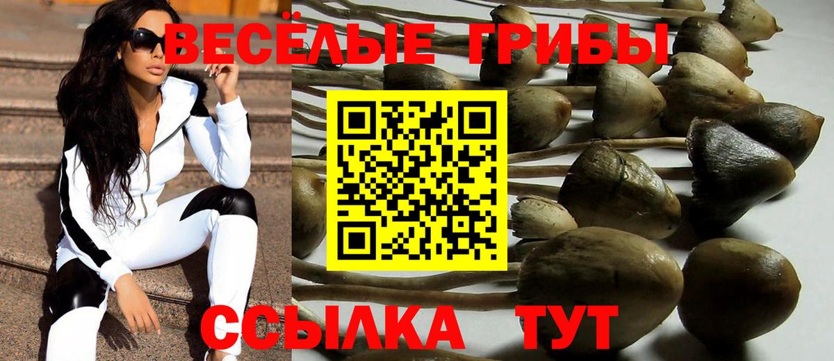 Псилоцибиновые грибы GOLDEN TEACHER Похвистнево